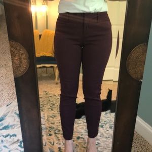 The Limited Exact Stretch Pants